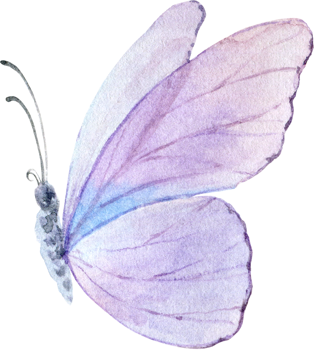 Lilac Watercolor Butterfly Illustration