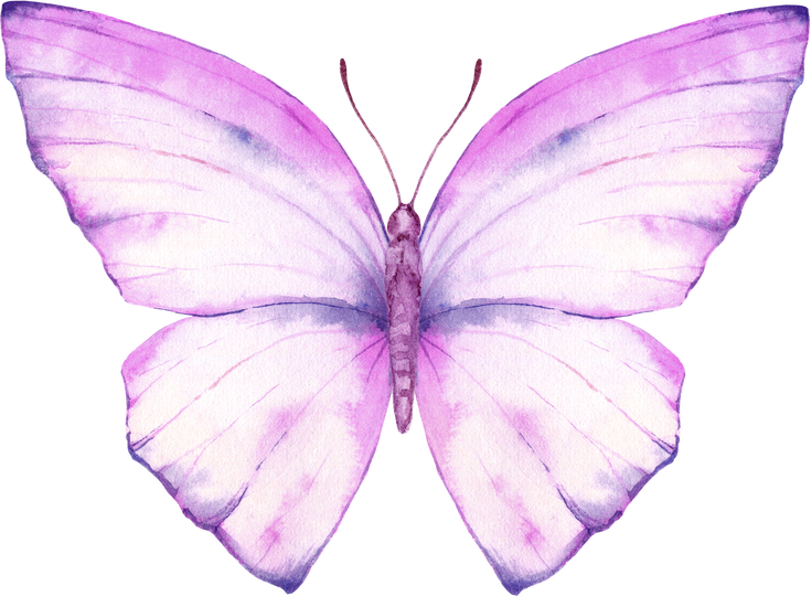 Pink  Watercolor Butterfly Illustration